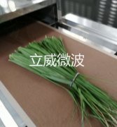 芦苇叶干燥杀菌设备