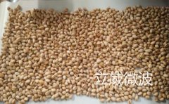 开心果微波杀菌设备