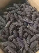 海参烘干工艺